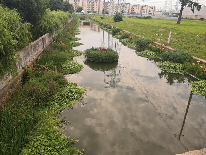  倒水河2023年區(qū)域治水工程李集段河道治理工程